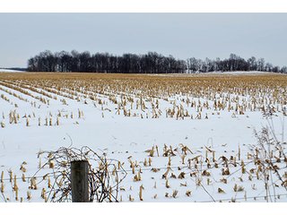 Property photo 3 - AUCTION, 206 Contiguous Acres offered in 5 Tracts